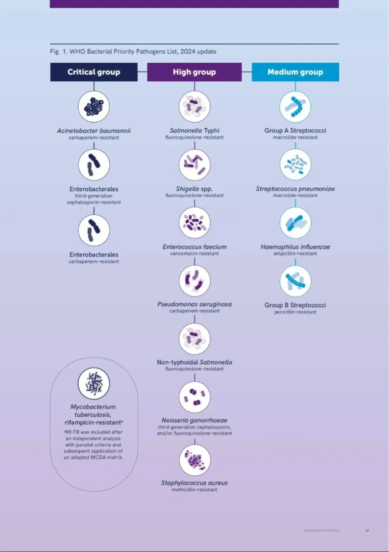 1745199855205993.png 895606c136c0ef92af5b5b687eb47e0.png